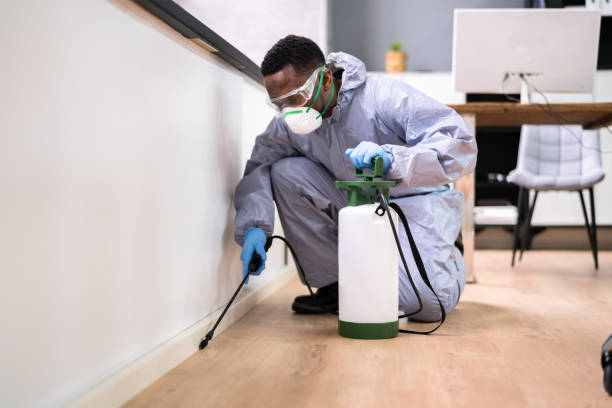 Best Pest Prevention Services  in East Wenatchee, WA